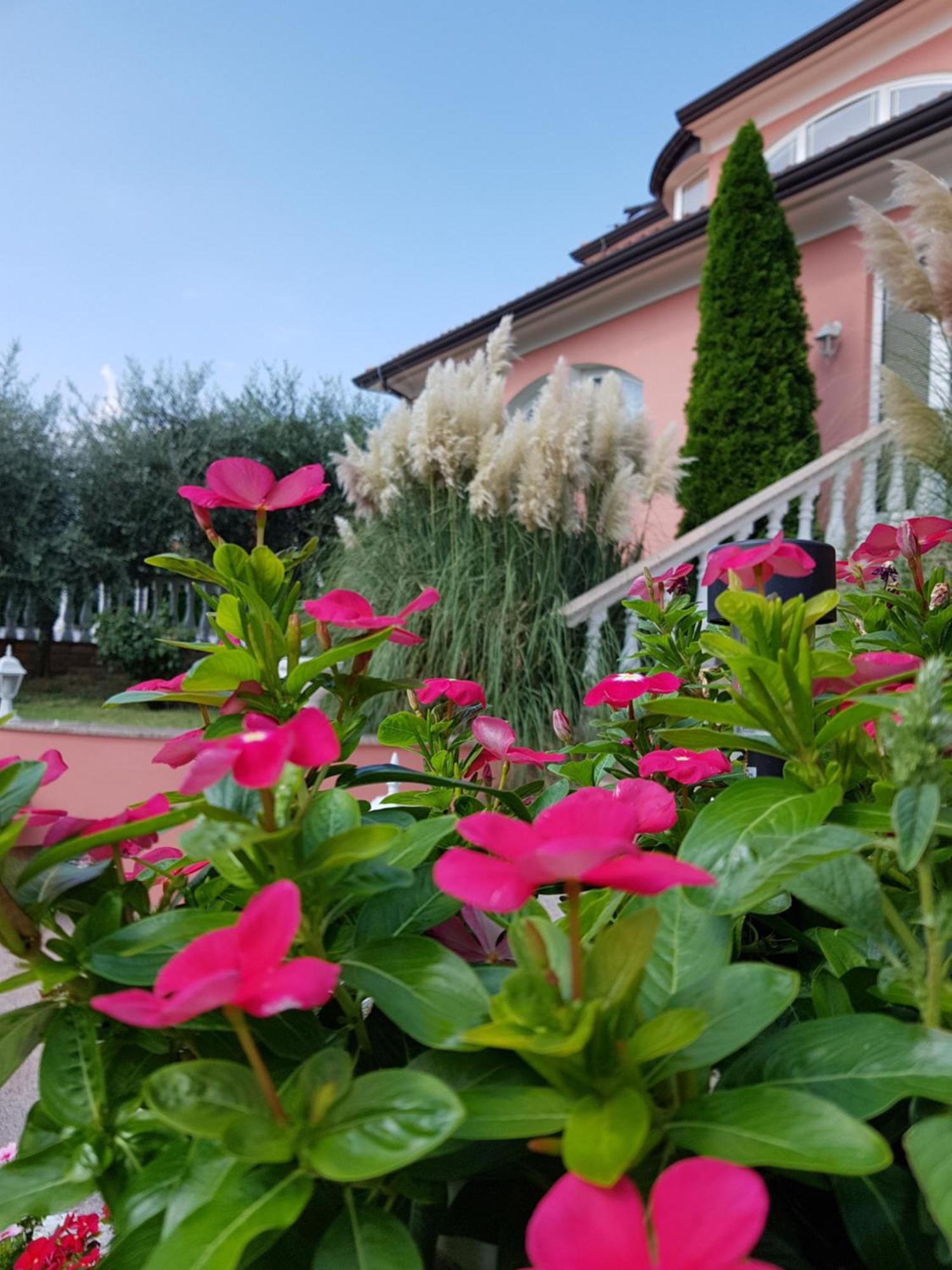Apartments And Rooms Villa Chiara Krnica Exterior photo